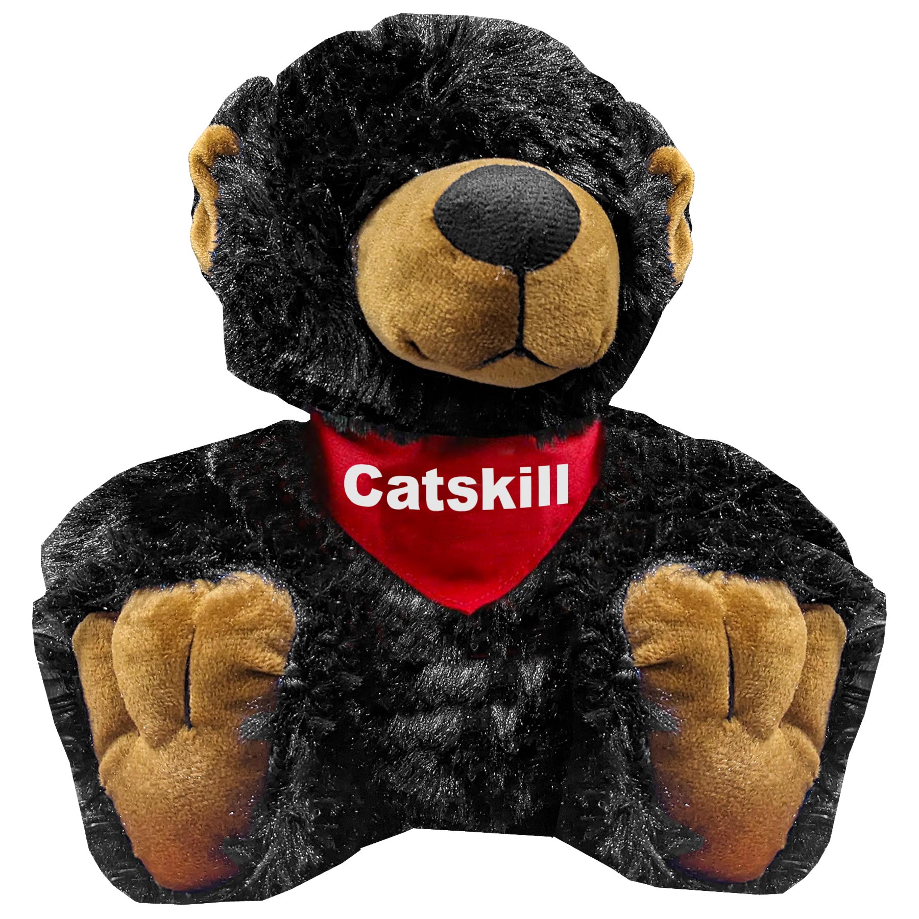 CATSKILL BUDDY BEAR 10